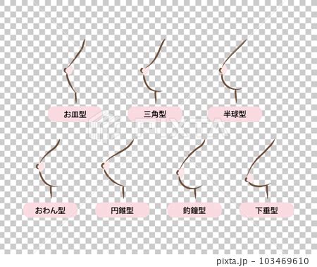 お椀型 おっぱい|お椀型おっぱいとは？男の理想形とされる至高のバストを分析